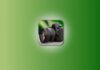 DSLR HD Camera App